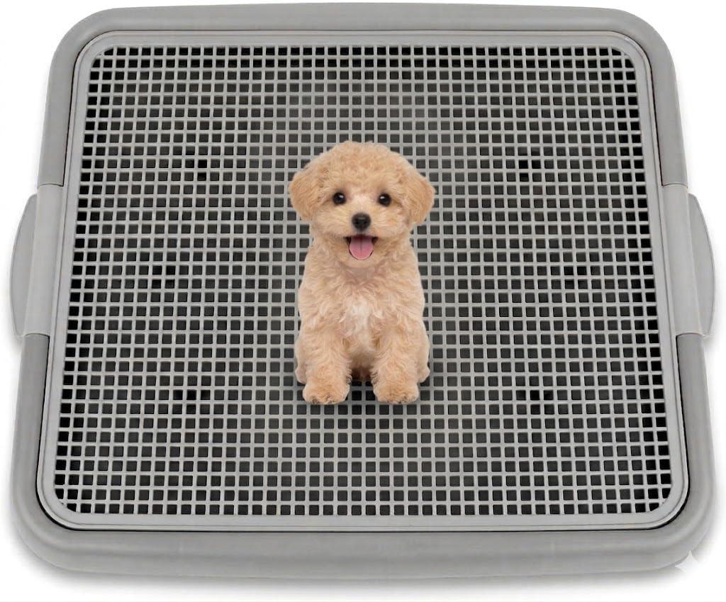 UPIT Puppy Potty Tray with Mesh – Dog Pee Pad Holder for Small Dogs & Puppies, Indoor Dog Potty Training Toilet, Plastic Leak-Proof Dog Potty Tray (Small - 20 x 16 in)