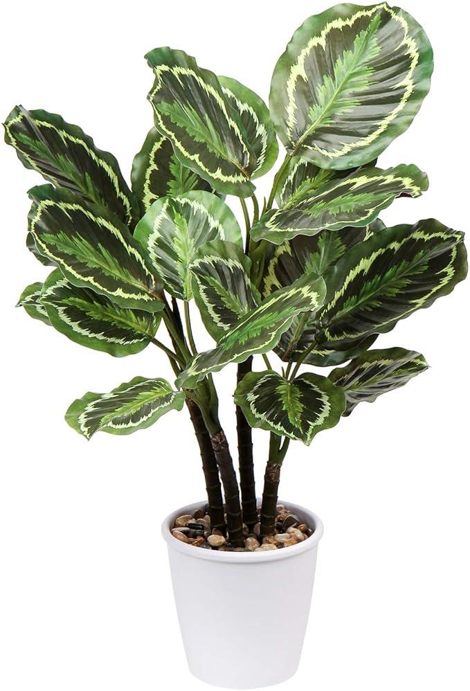 Briful 24.8" Artificial Calathea Medallion Plant Fake Plants Home Décor Tropical Faux Plant in Pot for Home Garden Office Decoration