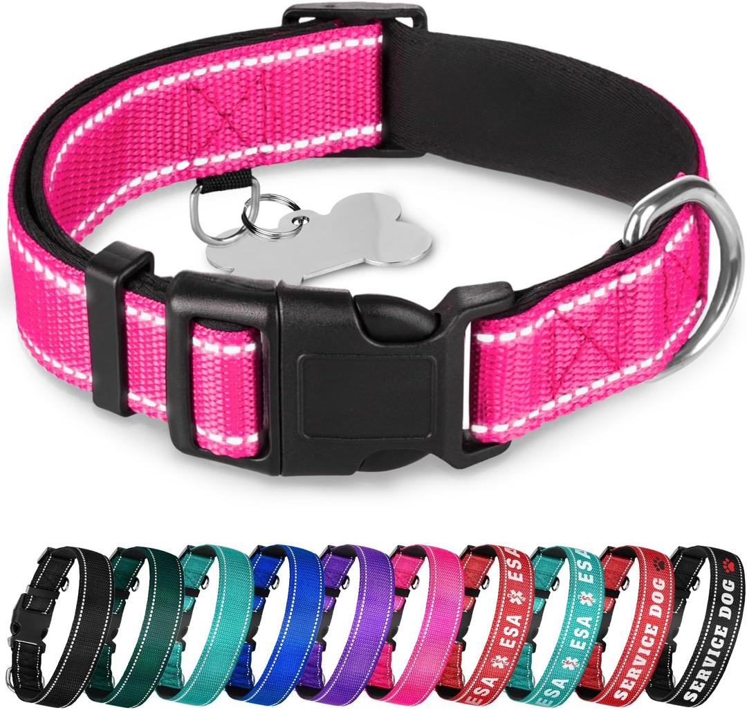 TECEUM Reflective Dog Collar  Hot Pink  M  Extra Soft Padding  Basic Nylon Pet Collar  Quick Release Buckle  Fits Small, Medium and Large Dogs, Puppies, Cats  ESA & Service Dog Options