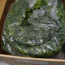 9ft Christmas Cedar Garland with Soft Thickness Pine, Artificial Green Faux Cedar Pine Garland for Mantle Fireplace Indoor Outdoor Holiday Party Home Decoration2 Pcs