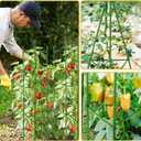 4 Pack 48 Inch Tomato Cages for Garden, Triangle Metal Plant Support with Rust-Resistant Coating, Heavy Duty Tomato Trellis for Raised Bed, Pots, Cucumbers, Peppers & Climbing Plants