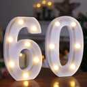 60th Birthday Decoration Light Up Letters, Battery Powered LED Numbers Marquee Number Sign for 60th Party Home Decor Night Light