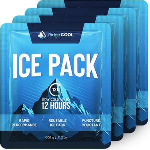 4 Pack Large Reusable Ice Packs for Coolers, Long Lasting Freezer Packs for Cooler Bags and Insulated Totes, Leakproof, BPA-Free, Food Safe, 4-Pack / 600g Each