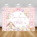 AIBIIN 7x5ft Bunny 1st Birthday Backdrop for Girl Coquette Some Bunny is Turning One Photography Background Easter 1st Bday Party Decorations