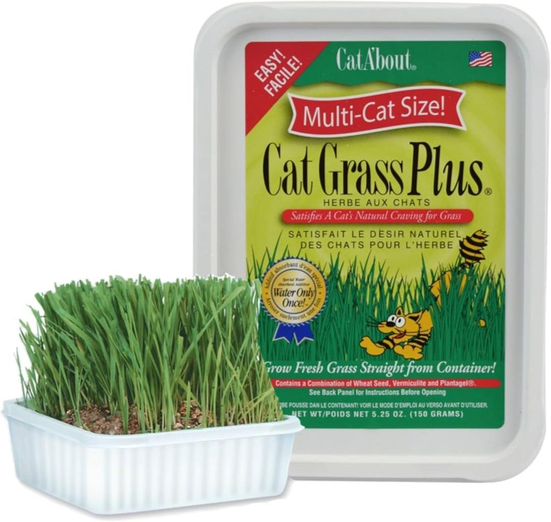 Miracle Care Cat A'bout Cat Grass Kit for Indoor Cats, 5.25 Ounce, Hairball Control, Anti-Inflammatory, Improves Digestion and Metabolism