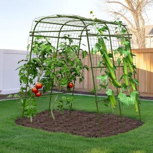 HIRALIY Garden Arch Trellis for Climbing Plants, 6.3 ft Tall Metal Cucumber Trellis, Arch Tunnel for Tomato Grape Vine Vegetables, Plant Support Archway for Garden Raised Bed, Green