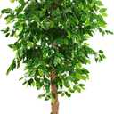 6ft Artificial Ficus Silk Tree (72in) with Plastic Nursery Pot Faux Tree, Fake Plant for Office House Farmhouse Living Room Home Decor (Indoor/Outdoor)