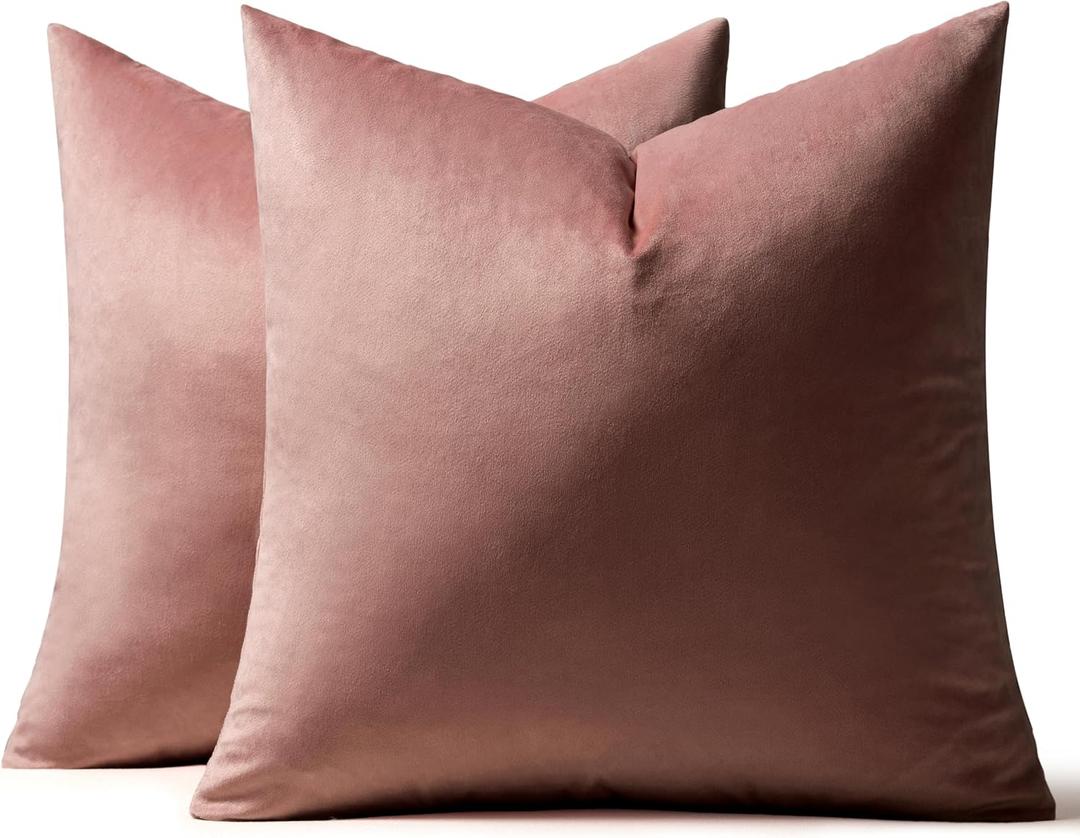 MIULEE Pack of 2 Decorative Velvet Pillow Covers Soft Square Throw Pillow Covers Solid Cushion Covers Jam Pillow Cases for Spring Sofa Bedroom Car 18x18 Inch 45x45 Cm (18" x 18" (Pack of 2))