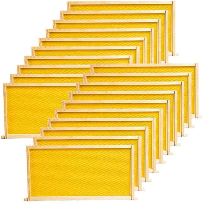 BeeCastle 20 Pack Beehive Frames and Waxed Foundations for Deep Brood Bee Hives with Wooden Bee Hive Frames and Beeswax Coated Foundations, 9-1/8-Inch (Yellow)