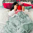 Bedsure GentleSoft Sage Green Fleece Blankets Queen Size - 280GSM Soft Lightweight Plush Cozy Blanket for Bed, Sofa, Couch, Travel, Camping