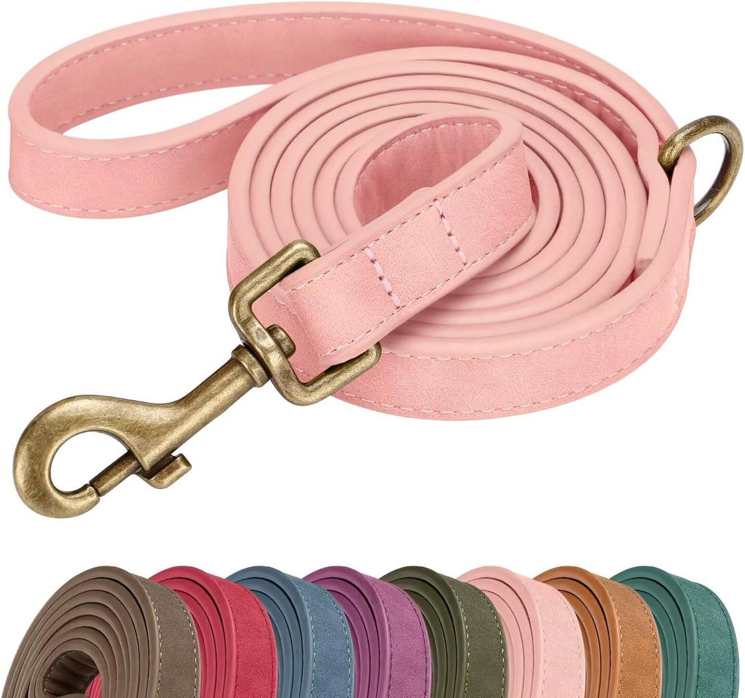 Didog Stylish PU Leather Dog Leash for Large Dogs, Easy to Clean 5ft Pink Dog Leashes for Medium Dogs, Cute and Fashionable for Walking, Running and Training,Pink, M (3/4''x 5FT)