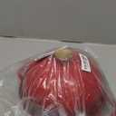 Cast Iron Bread Oven With Cloche Lid for Baking - Red Enameled Dutch Oven With Dome Lid for Sourdough - 5 qt (9.8 Inches)