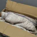 Valenrug Washable Rug 5x7 - Stain Resistant 5x7 Area Rugs for Living Room, Non Slip Backing Printed Rugs for Bedroom, Foldable Machine Washable Area Rug(Beige,5'x7')