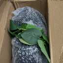 alyptus Fake Pothos Hanging Plants 33" Set of 2 Faux Ivy Vines with Pots, Realistic Silk Devils Ivy for Indoor Décor, Low Maintenance Artificial Greenery for Home Bathroom or Office - Green