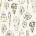 Cream Coquina Scalamandre Self Adhesive Wallpaper, Off-White, 3.5" x 12.6"