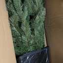 Pure Living Premium Artificial Christmas Tree 150 cm Test Winner - Lifelike, Dense Branches, Artificial Christmas Tree with Wooden Stand and Storage Bag