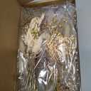 Layhit 24 Pcs Boho Dried Flower Bouquet Mini Wedding Handmade Dry Flowers Decor for Vase Crafts DIY Photo Boutonniere for Men Floral Plant for Bridesmaid Gift Birthday Decor(Stylish)