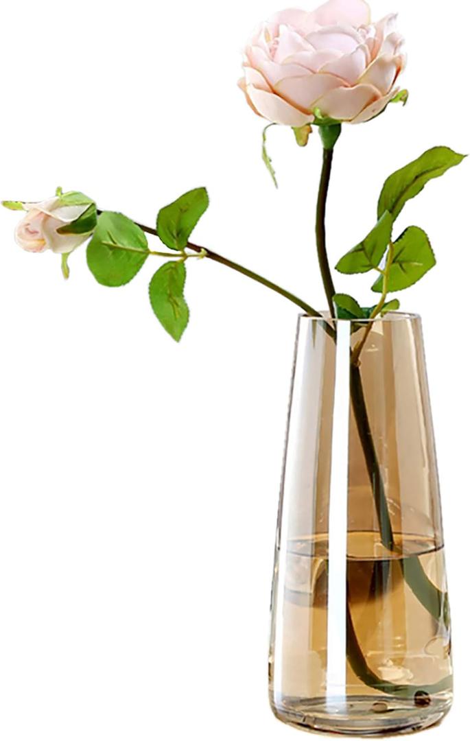 FANTESTICRYAN Modern Glass Vase Irised Crystal Clear Glass Vase for Home Office Decor (Crystal Amber) (8.7x 2.5)