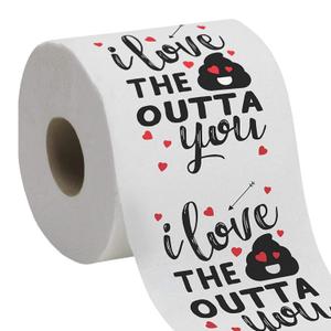 2 x Homarden Funny Toilet Paper - Unique Bathroom Gag Gift, Custom Printed Toilet Paper Roll - Valentine's day, Birthday or Anniversary Romantic Humor Tissue Gifts - Ultra Absorbent - 250 sheet - 2 ply TP