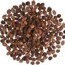 200PCS Christmas Natural Pine Cones Mini Fall Decorations Pinecones Ornaments Bulk Small Pine Cones for DIY Crafts Thanksgiving Fall Winter Christmas Wedding Decor Vase Filler Decor