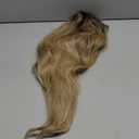 Belaved 4T13P613 Wigs Human Hair Highlight Lace Front Ombre 13x4 Straight HD Lace Front Wig Golden Brown to Blonde Balayage Lace Frontal for Women 150% Density Glueless Pre Plucked 16 Inch