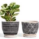 LE TAUCI 5.5 Inch Boho Plant Pots Indoor, Artisanal Cement Pots for Plants, Succulent Pots with Drainage Holes and Saucers, Planters for Indoor Plants, Set of 1  Black and Cream White