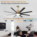 TXCSLY 60 inch Ceiling Fan with Light, Large Ceiling Fans with Remote Outdoor Ceiling Fan Quiet DC Motor, 8 Blades, 6 Wind Speed, Dimmable and Quiet DC Motor for Bedroom Living Room- Black &Gold