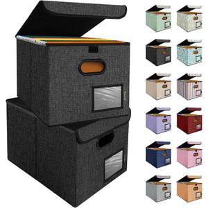 BALEINE File Organizer Box with Lid, Collapsible File Folder Organizer with Plastic Slide, Hanging File Folder Box for Office Document Storage (2 Pack, Black)