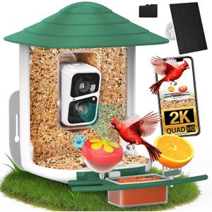 birdsnap TUC Bird Feeder with Camera 2K HD, Solar Panel 32GB Card 4-in-1 Perch, 160View Auto Detect & Notify AI Identify Video Bird Camera Wireless Outdoors Ideal Gift for Birds Lover (Dark Green)