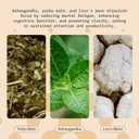 2 x Focus Drink for Concentration- Contains Yerba Mate, Ashwagandha and Lions Mane Mushroom with Advanced Nanoscience Technology - 3 Pack Brain Focus Drink, Orange Flavor, 2oz