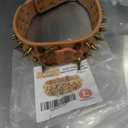 Spiked Studded Dog Collar for Dogs, 2 Inch Wide Bold PU Leather with Heavy Metal Hardware, Statement Piece for Pitbull Mastiff Rottweiler Doberman, Adjustable, Brown Large