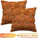 Pumpkin Fall Decorative Throw Pillow Covers 20"x20", Set of 2 Rust Green Soft Faux Fur Pillow Covers for Autumn Harvest, Fluffy Plush Accent Pillow Cases for Farmhouse Halloween Decor