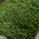 Artificial Grass Rug 4 FT x 6 FT Fake Faux Grass, Indoor Outdoor Patio Garden Lawn Landscape Synthetic Grass Mat, Realistic Turf, 4-Tone/Soft, with Drainage Holes & Rubber Backing
