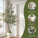 8ft Faux Olive Tree Artificial Indoor,Fake Olive Tree with Pot,Large Olive Branches and Lifelike Fruits,for Home Office House Living Room Decor