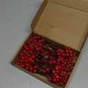 Fangoo 20 Pack 7 Inch Artificial Red Berry Picks for Christmas Tree Burgundy Red Berries Stems Holly Berry Branches Ornaments Wreath Crafts Wedding Holiday Season Winter Home Decor