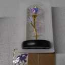 Childom Birthday Gifts for Women,Christmas Rose Gifts for Mom,Women,Her,Wife,Grandma,Light Up Rose in Glass Dome,Colorful Rainbow Flowers for Delivery Christmas,Anniversary,Valentines Day,Mothers Day