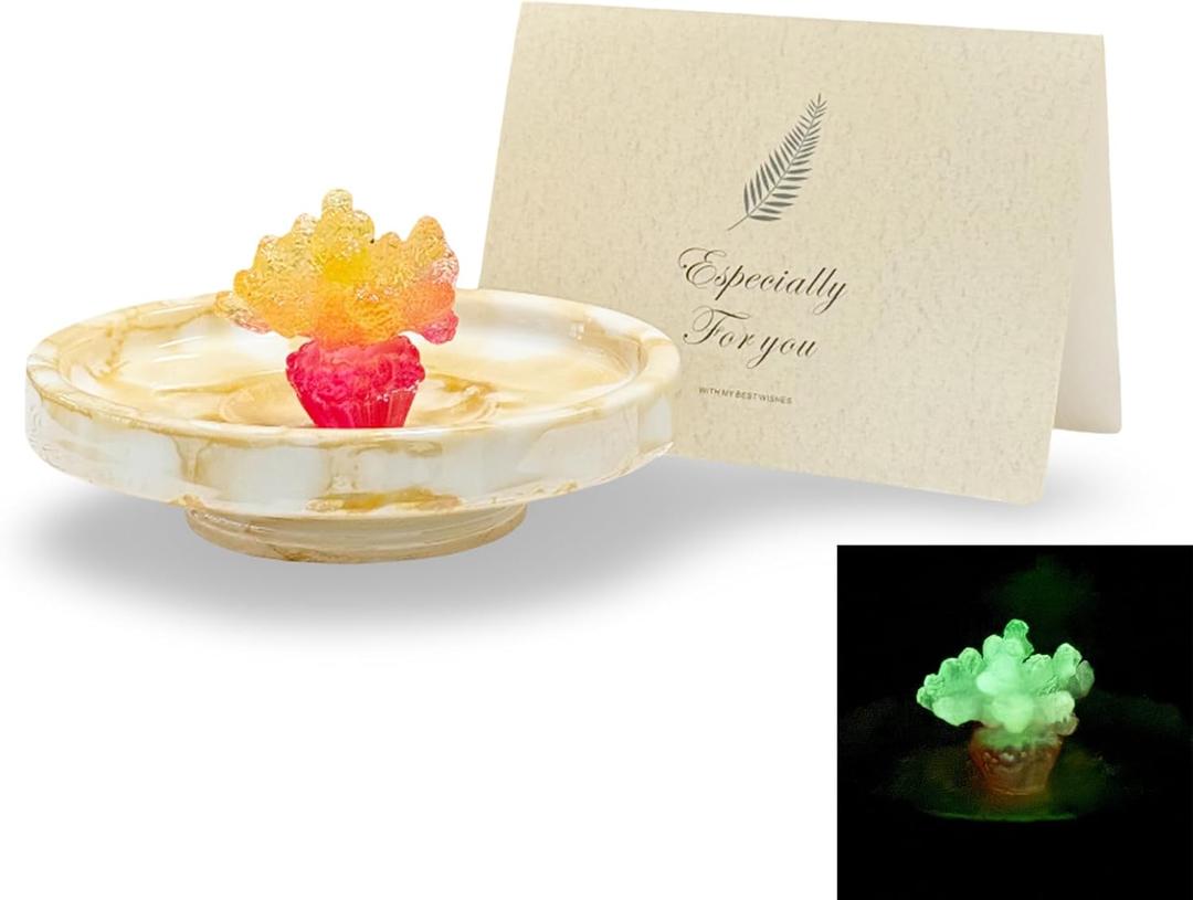 Ceramic Ring Dish with Glow-in-the-Dark Coral, Jewelry Dish Tray for Ring, Earrings, Necklaces, Coral Jewelry Plate Organizer with Greeting Card, Decorative Trinket Dish for Bedroom, Vanity, Bathroom