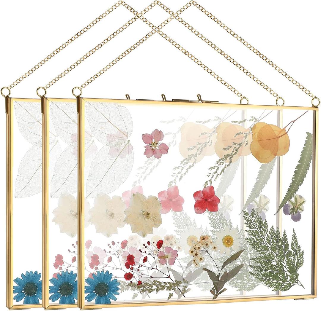 Roowest 3 Pcs Double Glass Frame for Pressed Flower 8 x 10 Inch Floating Picture Frame Brass Hanging Photo Artwork Display with Chain Wall Decor for Wedding Gallery Pictures DIY Decor
