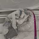 WAOWAO Clear Baby Gate for Stairs Modern Design Acrylic Auto Close Pet Gate, 29.52-47.24" Wide Safety Baby Gate for Doorways,White Clear Dog Gates Indoor, Hallways,Kitchen