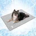 PetAmi Premium Cooling Dog Blanket | Lightweight Fluffy Pet Throw Blanket Bed Cover for Dogs, Cat, Puppies | Pet Blanket Furniture Protector Couch Sofa | Reversible Fuzzy Cozy | 24x32, Light Grey