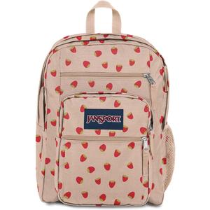 JanSport Laptop Backpack - Computer Bag with 2 Compartments, Ergonomic Shoulder Straps, 15 Laptop Sleeve, Haul Handle - Book Rucksack - Strawberry Shower