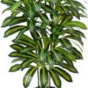 Artificial Dracaena Tree - 7FT Tall Fake Plants with White Tall Planter - Artificial Plants Indoor Floor Plant in Pot - Large Tropical Fake Yucca Potted Tree for Home Office Living Room Decor