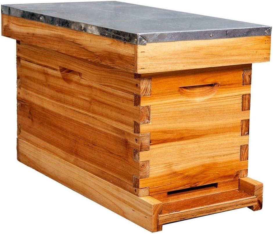 MayBee 5-Frame Nuc Beehive for Bees Complete Bee Hive Box Kit with Metal Roof Includes Wooden Frames & Waxed Foundations for Langstroth Beekeeping