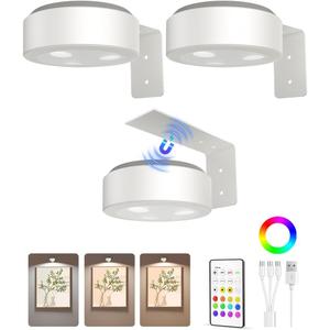 EZVALO Picture Lights for Wall, 2000mAh Rechargeable Battery Magnetic Poster Lights with 3 Color Temps & 12 RGB, Remote Dimmable Timer Painting Light, Wall Decor Light for Art Display, Frame (3 Pack) (White)
