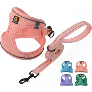 BELLA & PAL Dog Harness for Small Dogs, Medium, Coral Pink, Animal Harness with Leash Set, No Pull, Step in Design, Reflective Strip, Lightweight Mesh, Harness for Extra Small Dogs, Size: M