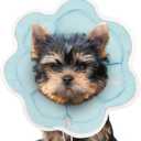 Soft Small Dog Cone Collar Alternative for Small Dogs(Puppy Yorkshire Puppy Chihuahua Pomeranian), Comfortable Dog Neck Recovery Cone, Adjustable Head Pillow Cone After Surgery to Stop Licking (XS(Neck Girth:3.54"-7"), Blue)