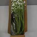 40 Pcs Babys Breath Artificial Flowers, Baby Breath Flowers Artificial Bulk, Real Touch Babys Breath Babies Breath Long Stems, Fake White Gypsophila For Bonquet Vase Wedding Decor Flower Arrangement