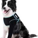 Recovery Sleeve for Dogs, Front Leg Protection After Surgery, Dog Leg Sleeve to Stop Licking, Bite and Keep Dry, Machine Washable Waterproof Abrasion Resistant Dog Recovery Sleeve (M)