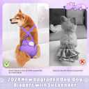 Idepet Female Dog Diapers with Suspender 3 Pack Washable Reusable Doggie Diapers for Small Medium Female Dog in Heat Period Cycle Urinary Incontinence Training, Black+Red+Purple XS