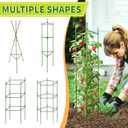 4 Pack 48 Inch Tomato Cages for Garden, Triangle Metal Plant Support with Rust-Resistant Coating, Heavy Duty Tomato Trellis for Raised Bed, Pots, Cucumbers, Peppers & Climbing Plants